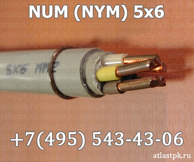  NYM 5х6 фото