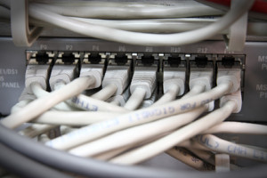UTP network cables