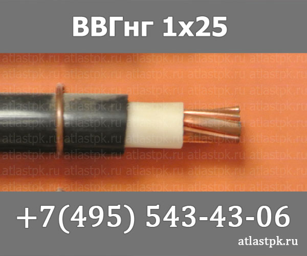 ВВГнг(А) 1 х 25 фото
