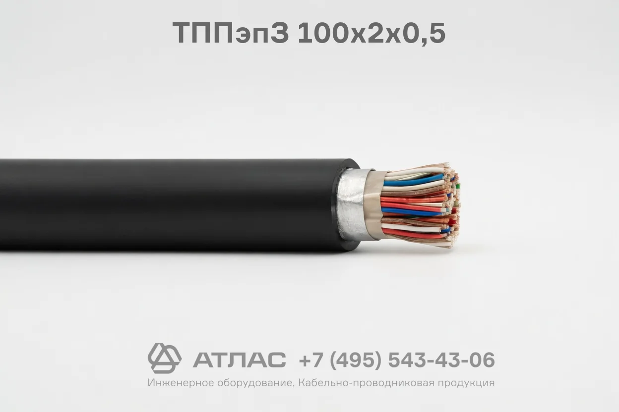 ТППэпЗ 100х2х0,5 фото