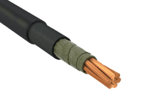 ВВГнг(А)-FRLS 1х25 фото