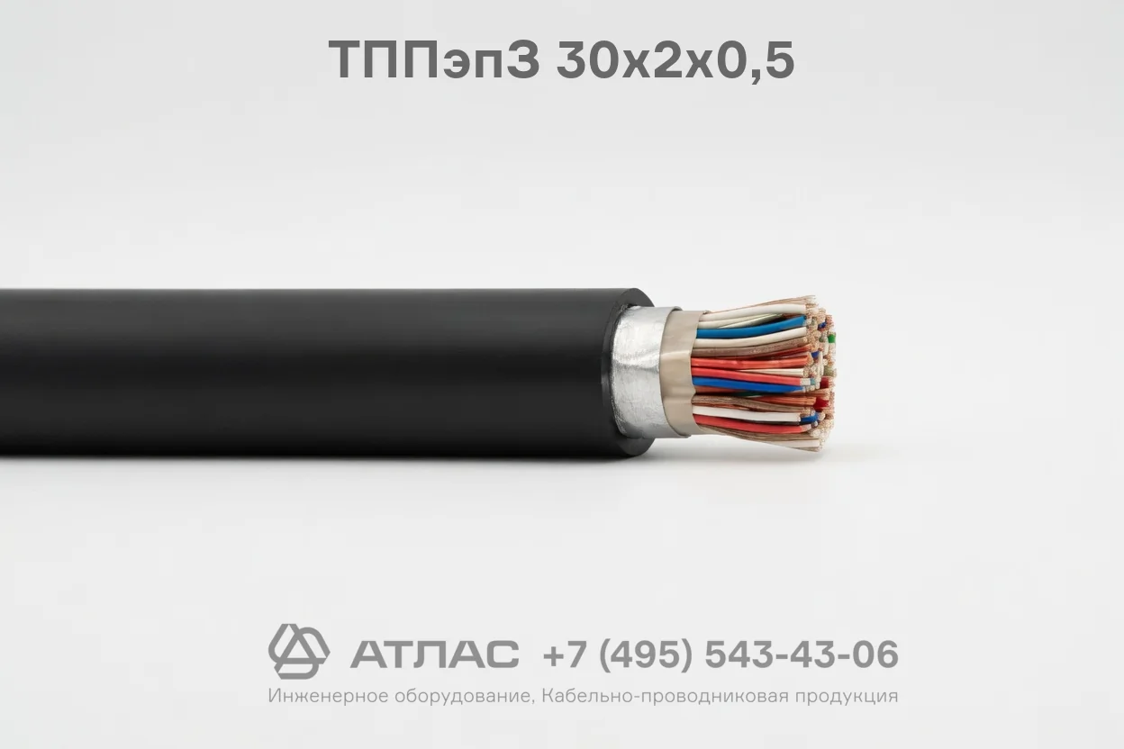 ТППэпЗ 30х2х0,5 фото