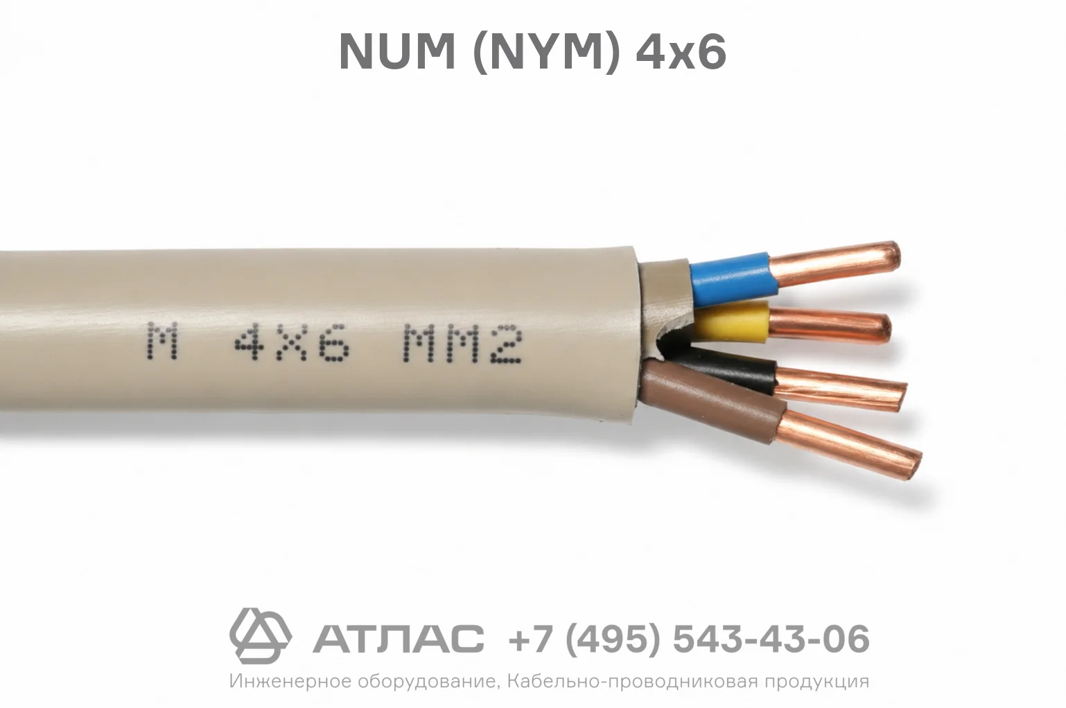 NUM (NYM) 4x6 фото