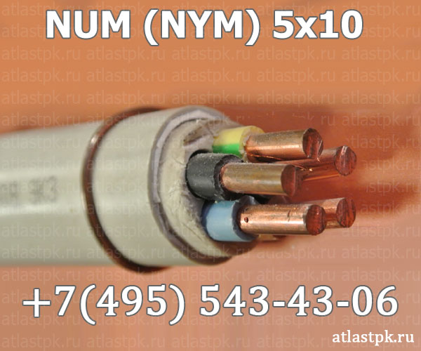 NUM (NYM) 5х10 фото