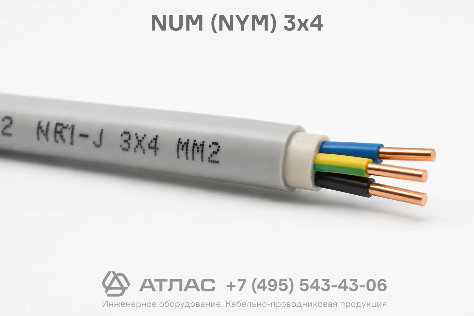 NUM (NYM) 3x4 фото