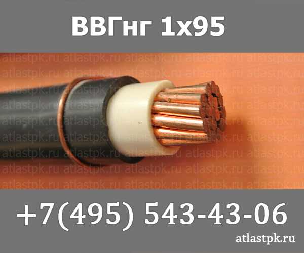 ВВГнг(А) 1 х 95 фото