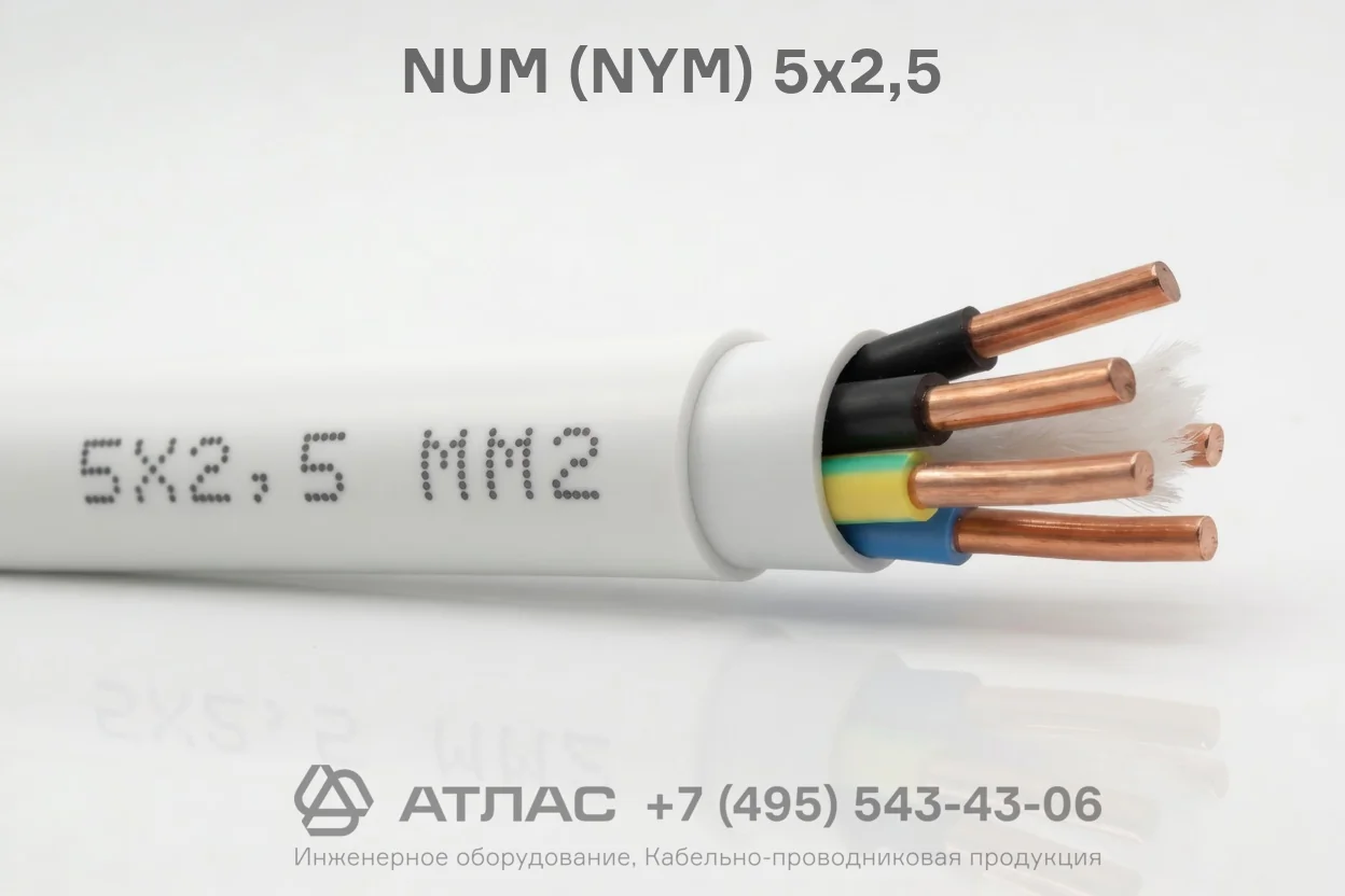 NUM (NYM) 5х2,5 фото