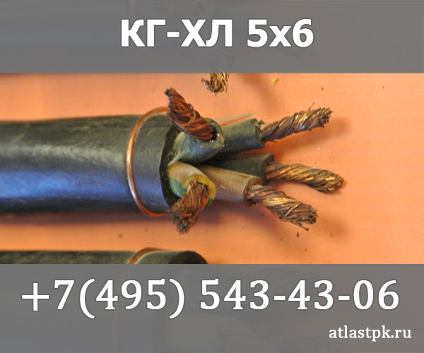 КГ - хл 5х6 фото