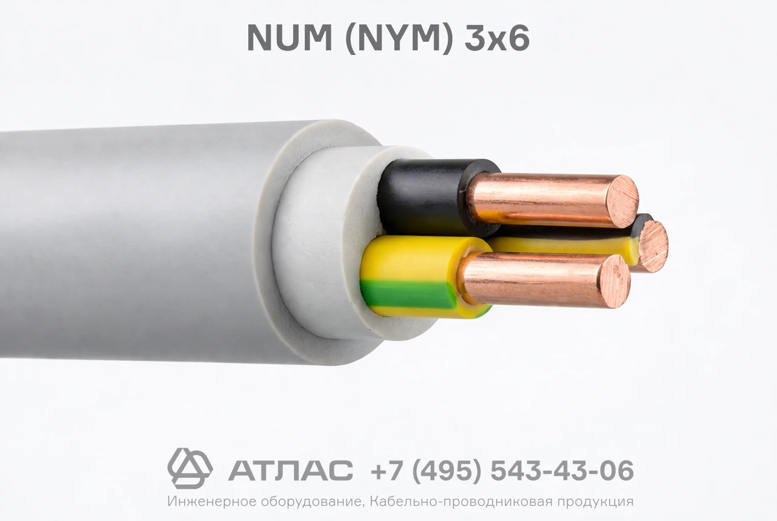 NUM (NYM) 3x6 фото