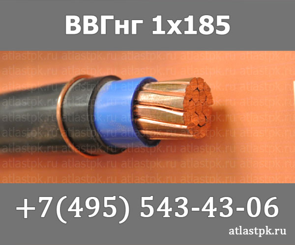 ВВГнг(А) 1 х 185 фото