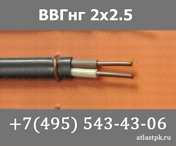 ВВГ-Пнг(А) 2 х 2,5 фото