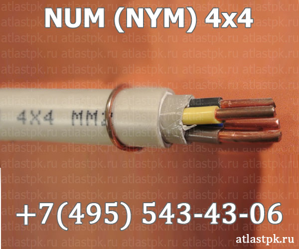 NUM (NYM) 4x4 фото