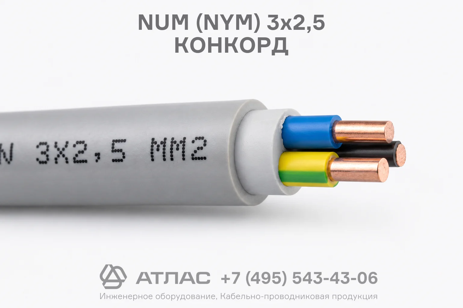 NUM (NYM) 3x2,5 КОНКОРД фото