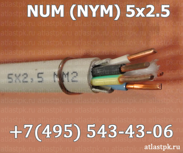 NUM (NYM) 5х2,5 фото