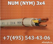   NYM 3x4 фото