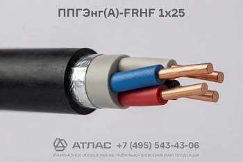 Кабель ППГЭнг(А)-FRHF 1х25 силовой экранированный огнестойкий безгалогенный для систем пожарной безопасности