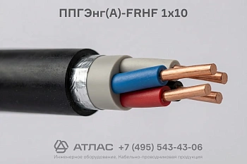 Кабель ППГЭнг(А)-FRHF 1х10