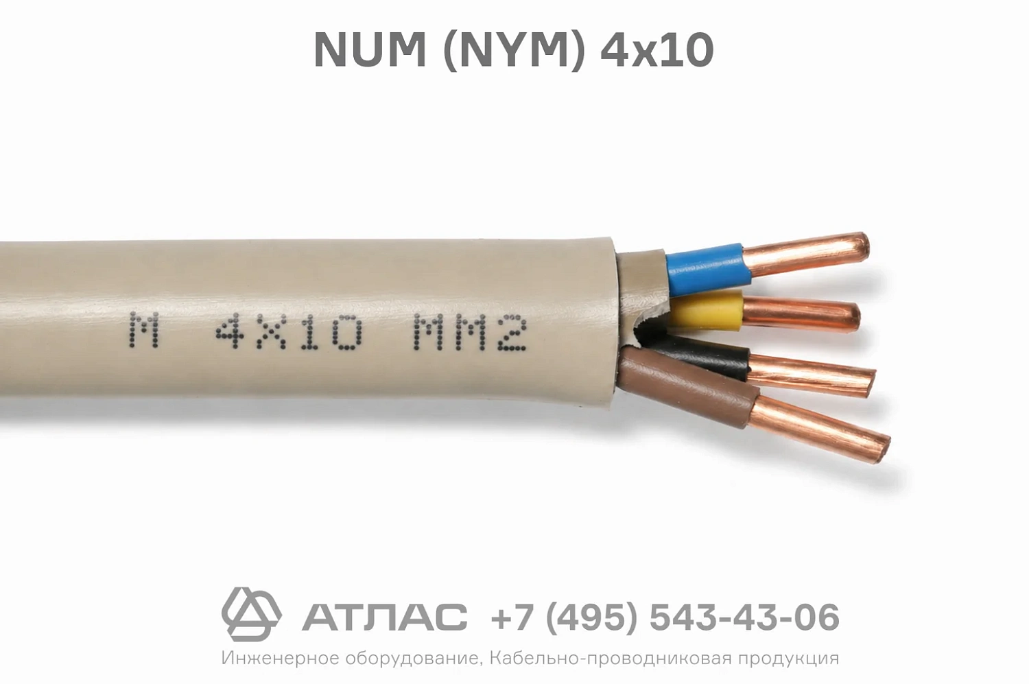 NUM (NYM) 4x10