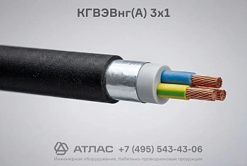 КГВЭВнг(А) 3х1 фото