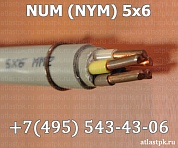   NYM 5х6 фото