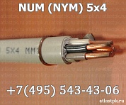   NYM 5х4 фото