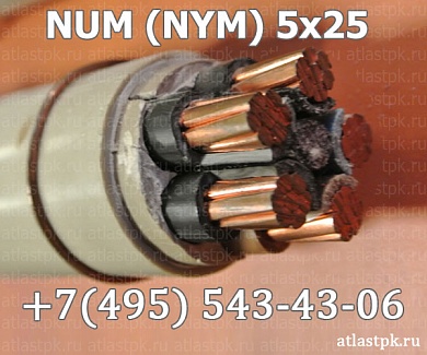  NYM 5x25 фото