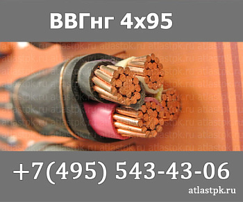 ВВГнг(А) 4 х 95 фото