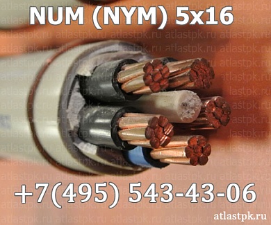  NYM 5x16 фото
