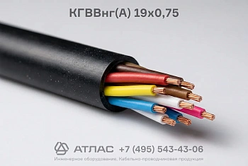 КГВВнг(А) 19х0,75 фото