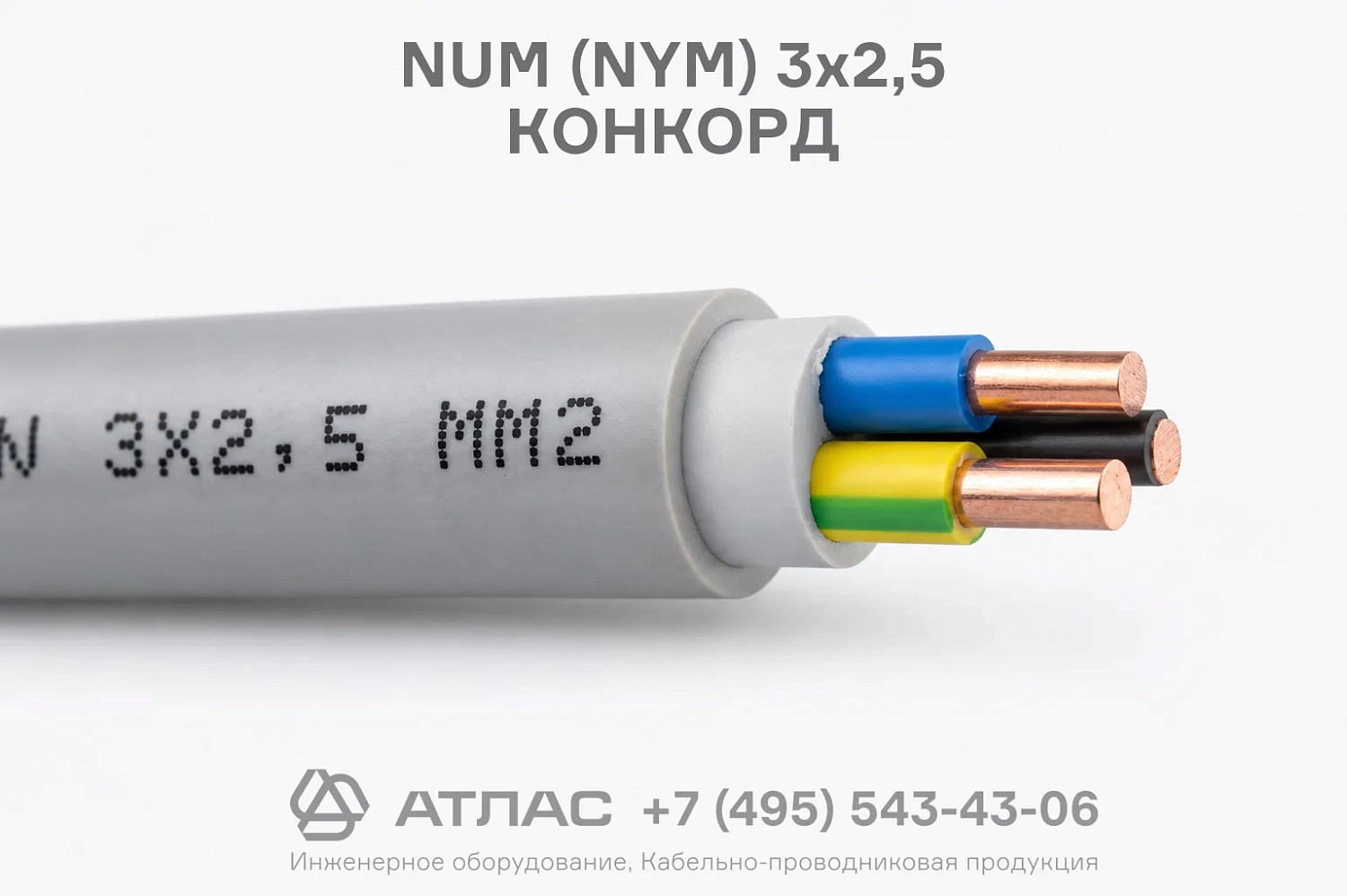 NUM (NYM) 3x2,5 КОНКОРД